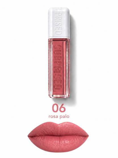 Lip Gloss Matte 6 Tonos – Color Intenso y Larga Duración