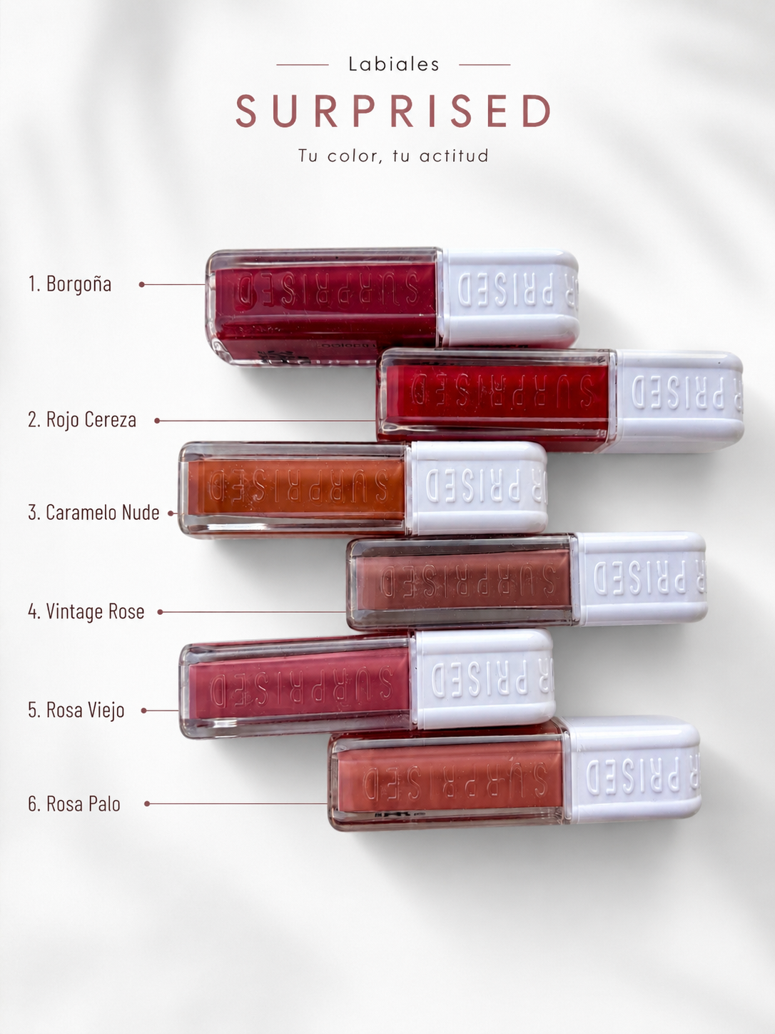 Lip Gloss Matte 6 Tonos – Color Intenso y Larga Duración